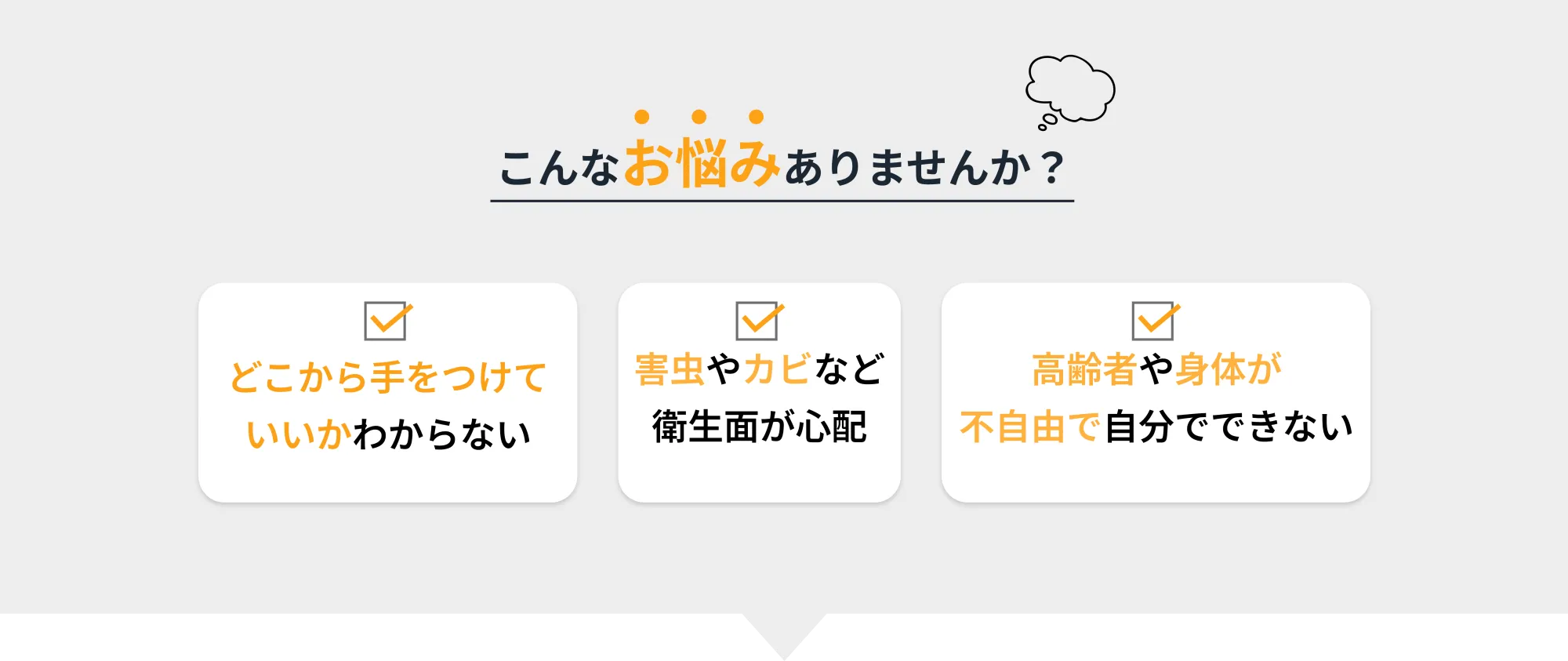 ・・・こんなお悩みありませんか？
       ☑ どこから手をつけていいかわからない  
       ☑ 害虫やカビなど衛生面が心配  
       ☑ 高齢者や身体が不自由で自分でできない！